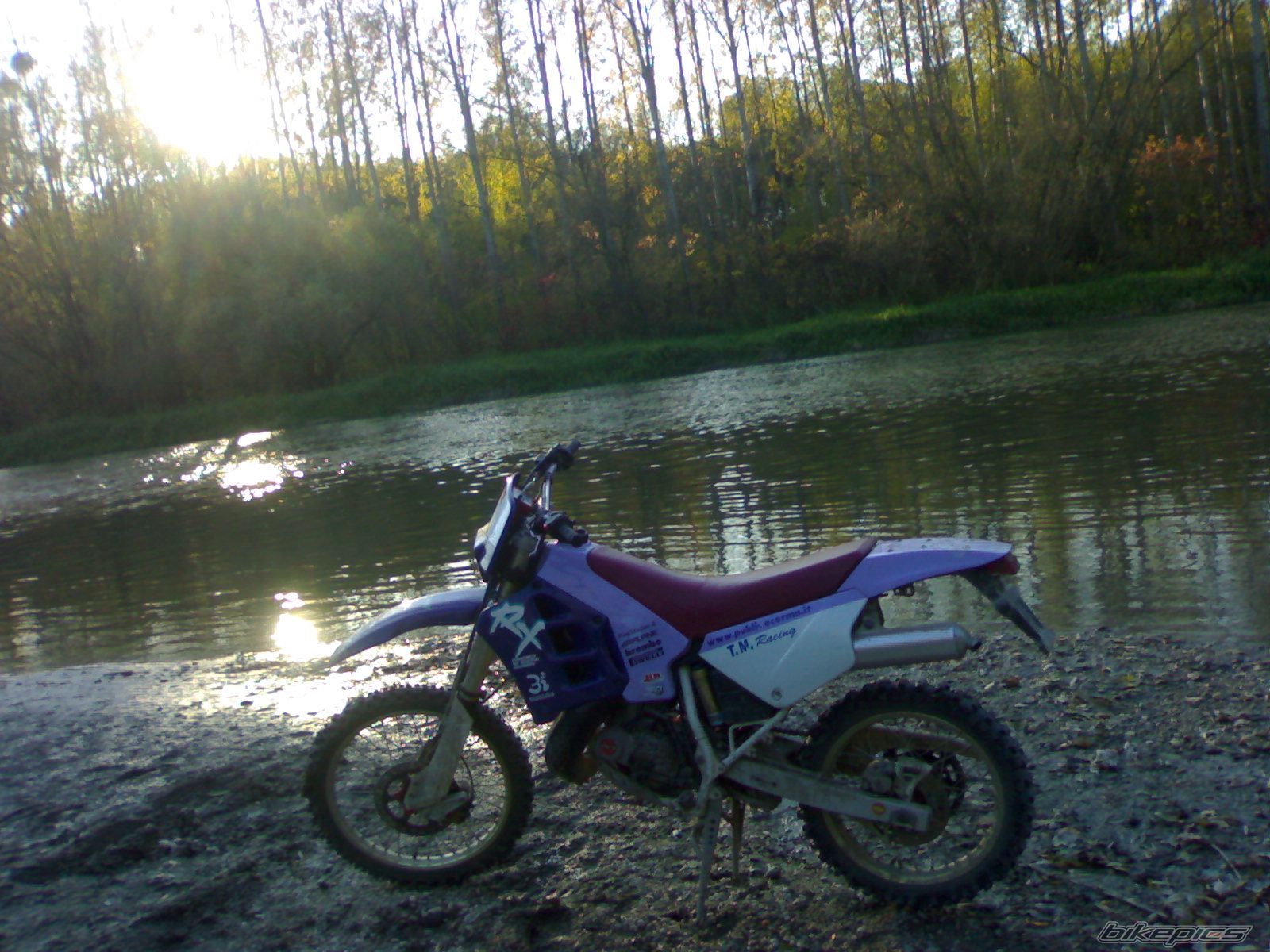 Photo 1453776