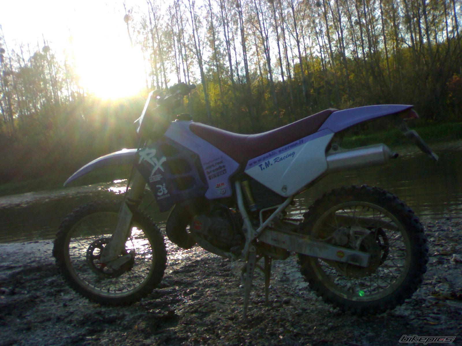 Photo 1453779