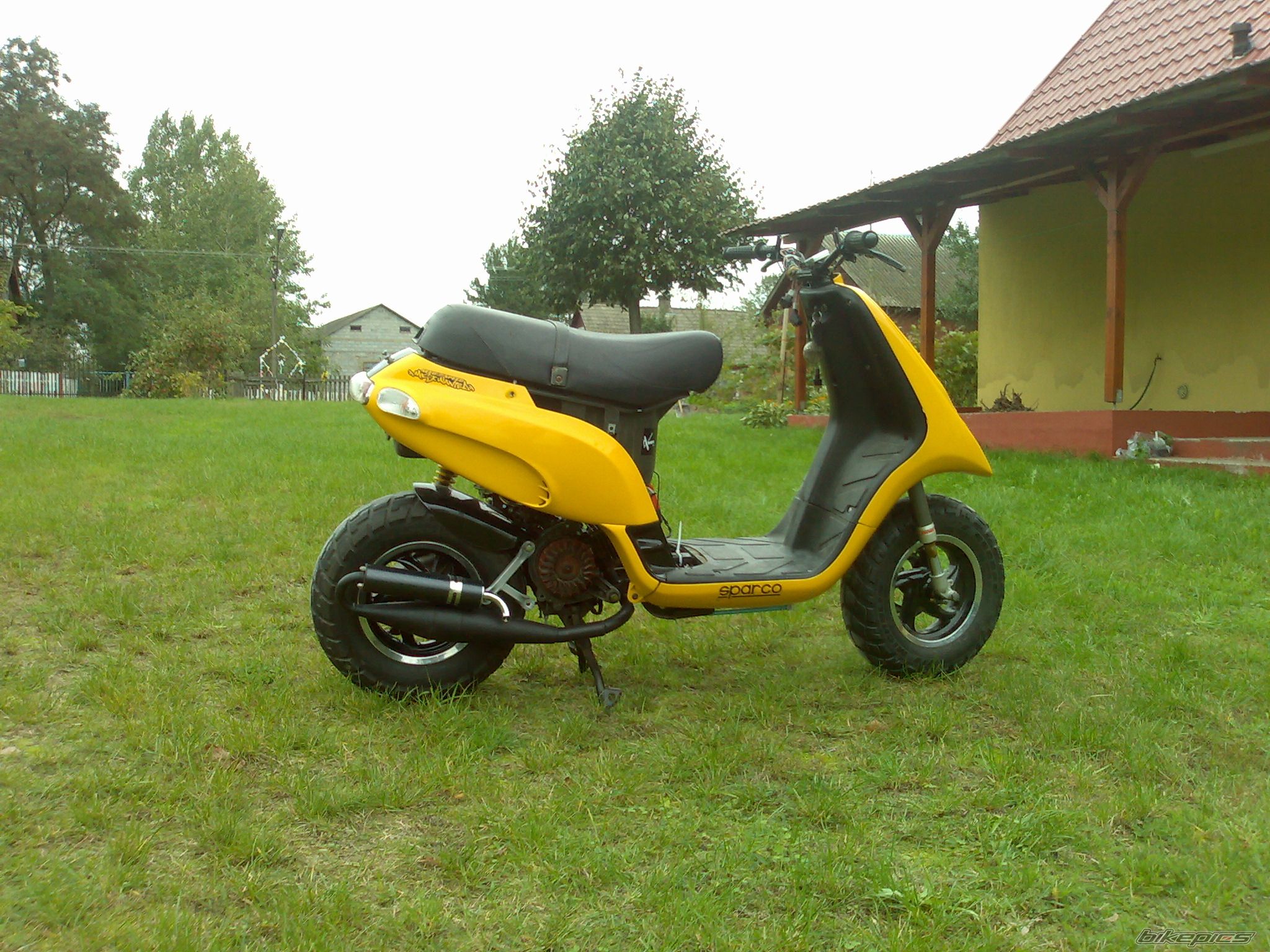 Photo 1453821