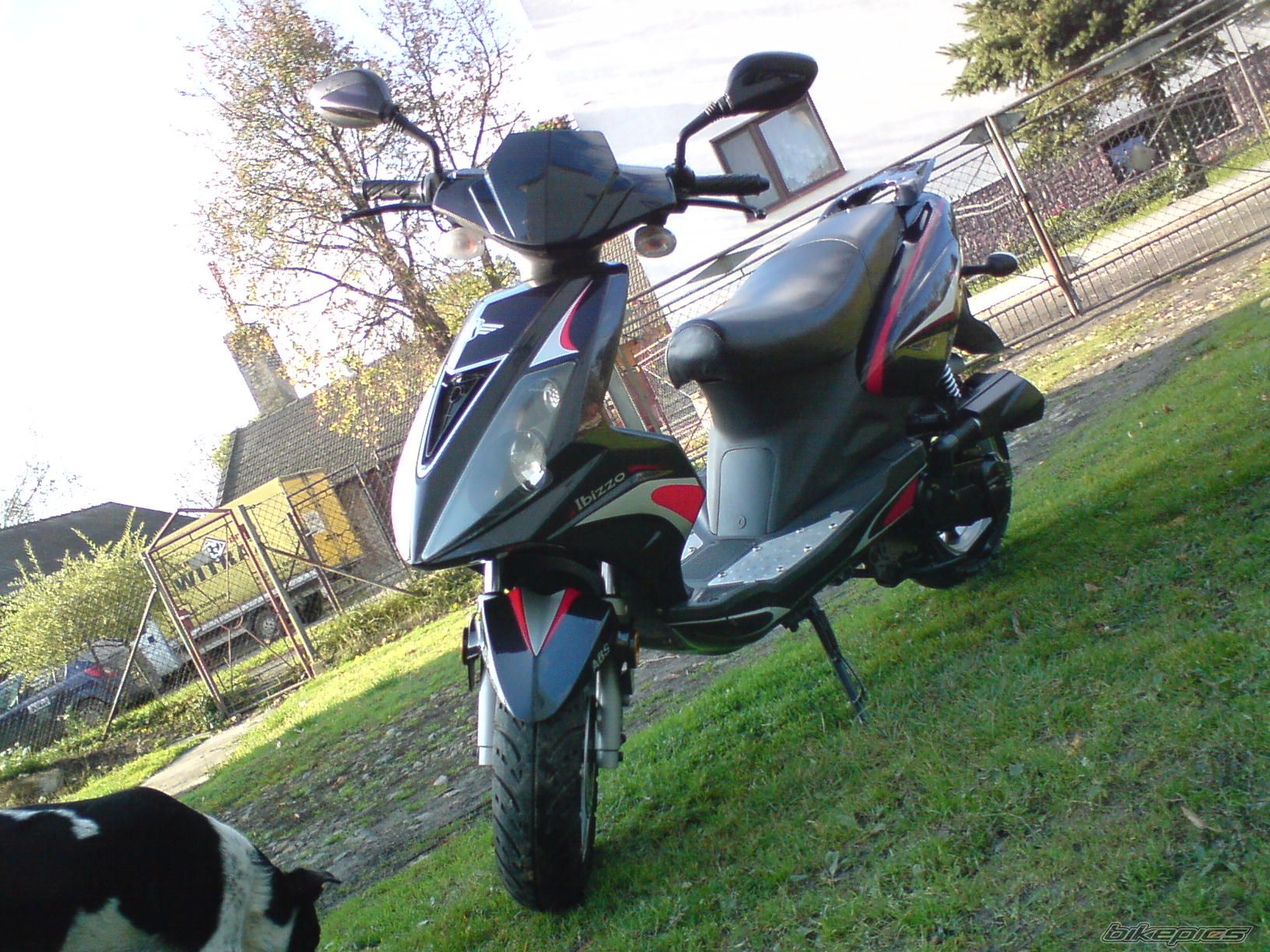 Photo 1453833
