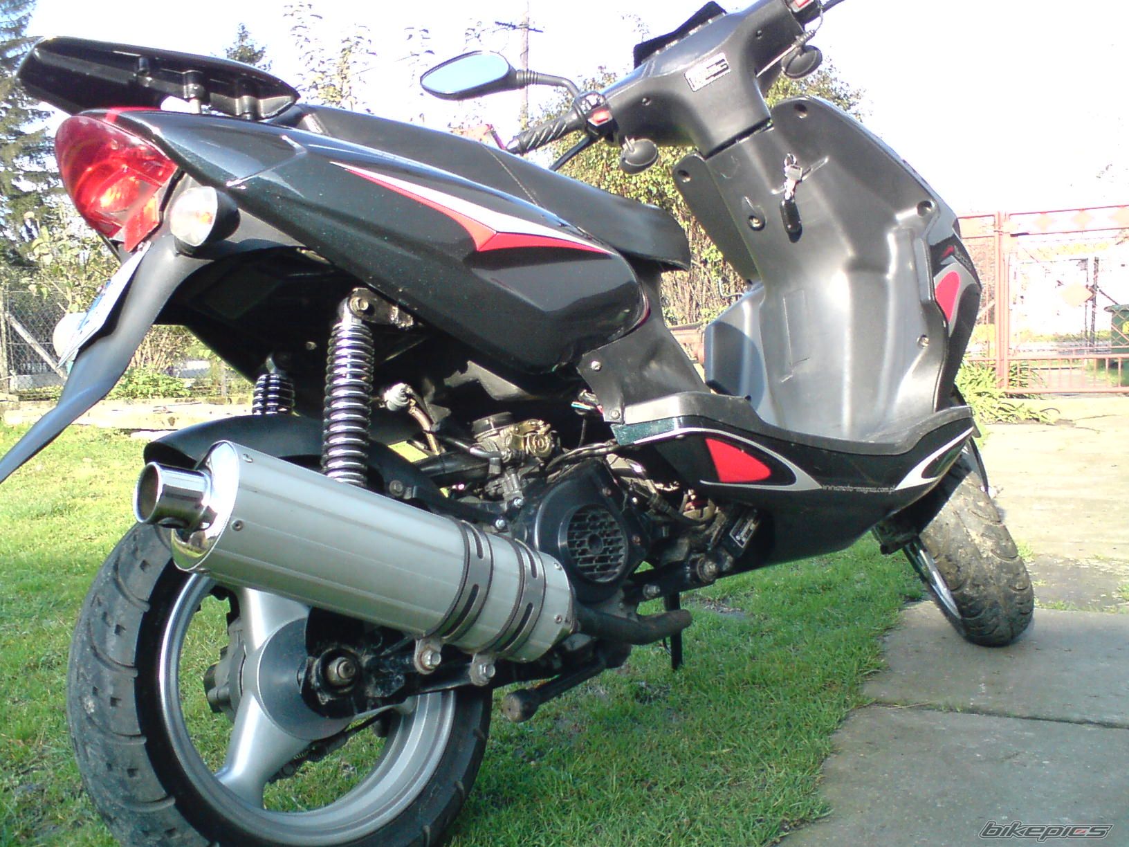 Photo 1453839