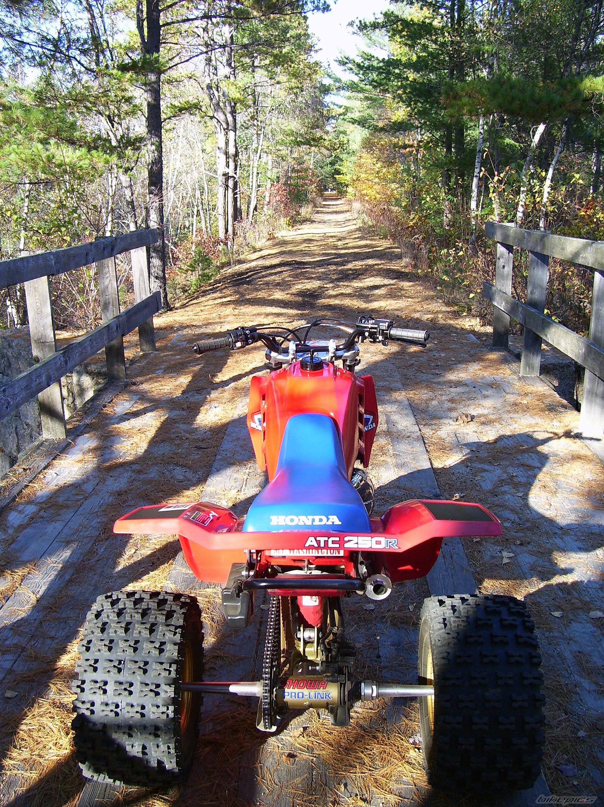 Photo 1453879