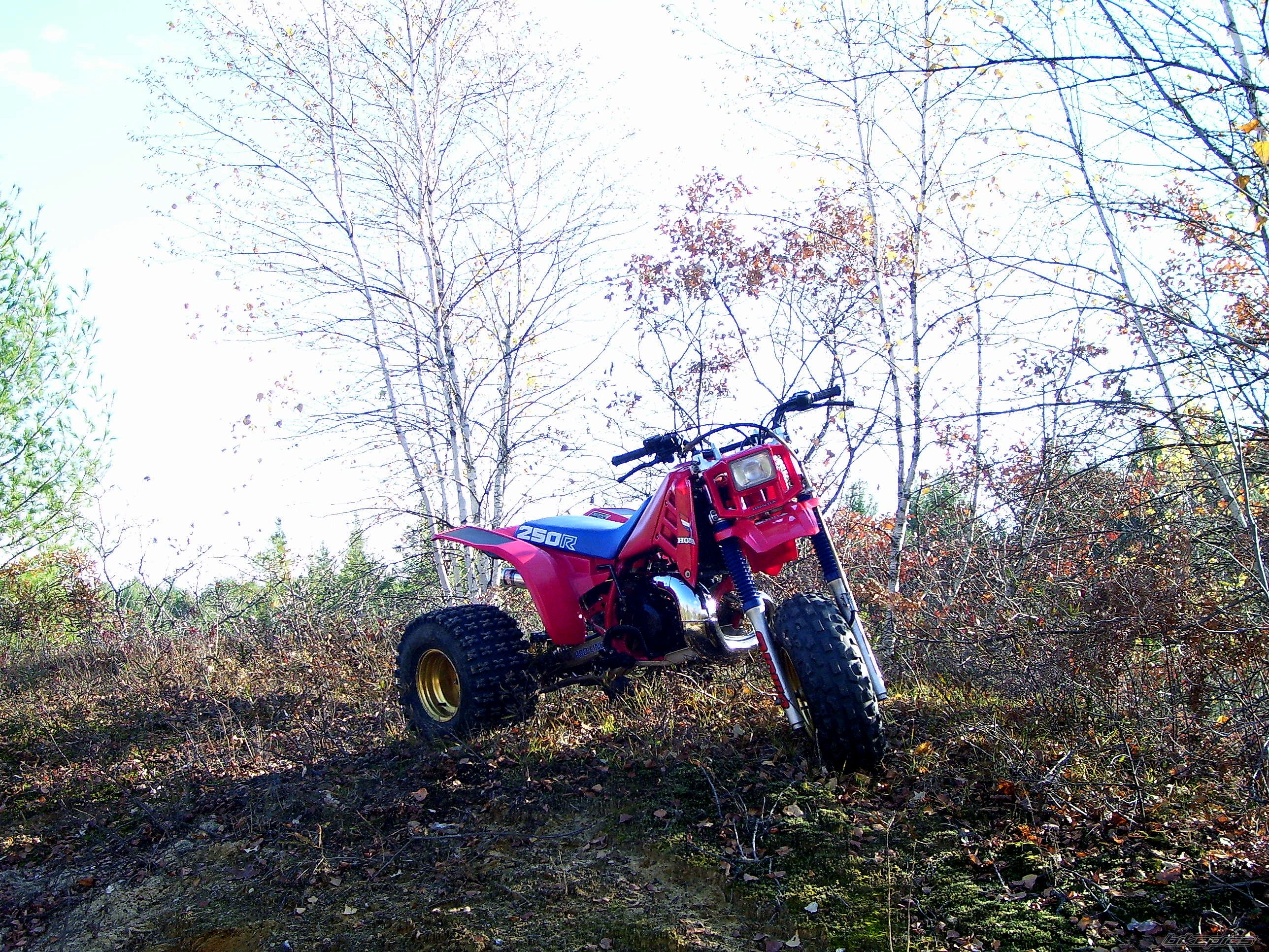 Photo 1453897