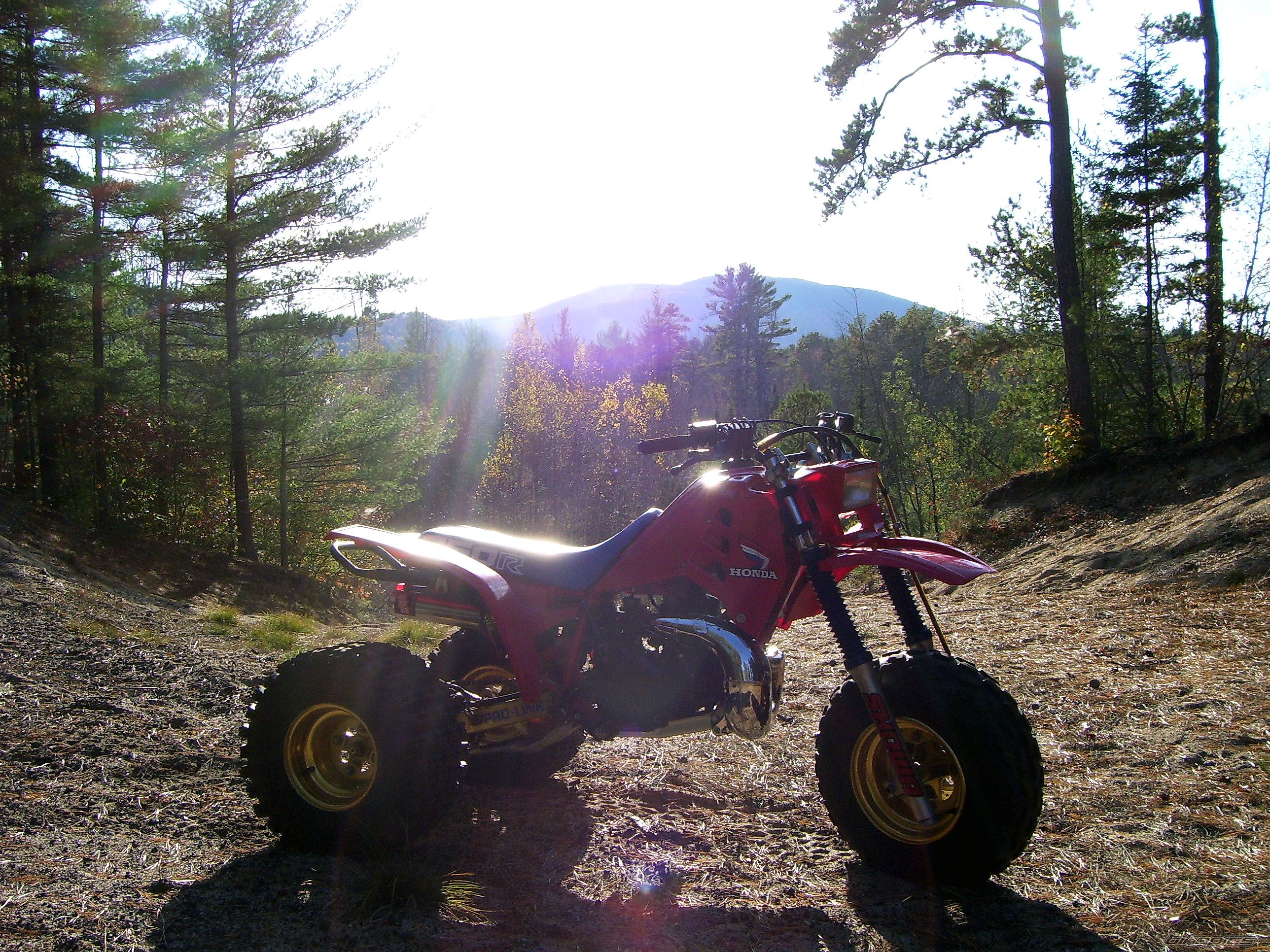 Photo 1453903