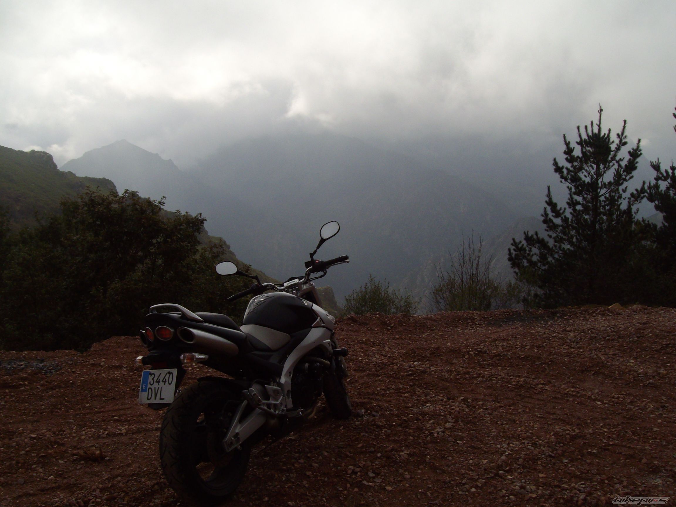 Photo 1453918
