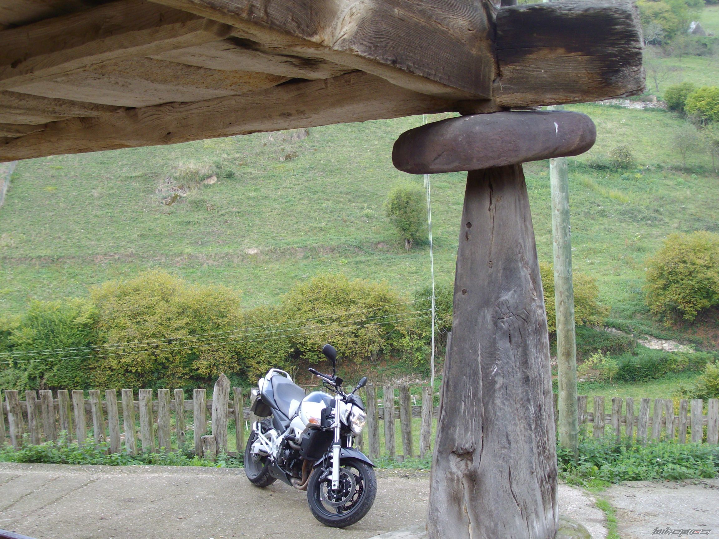 Photo 1453927
