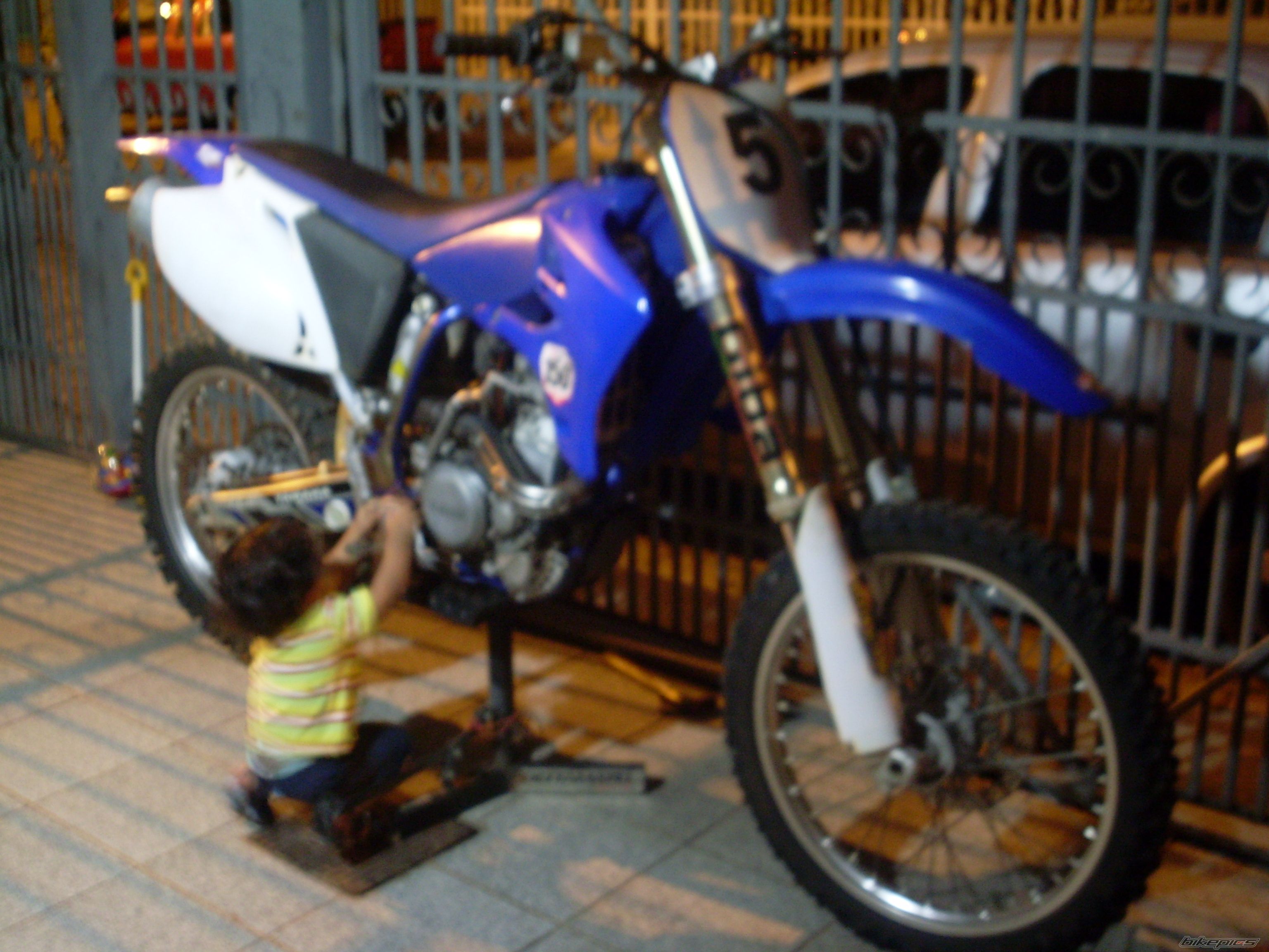 Photo 1453952