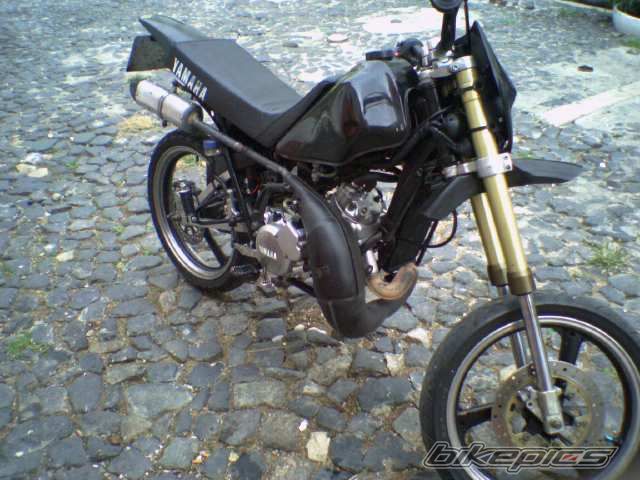 Photo 1453973