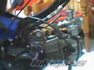 Photo 1454030