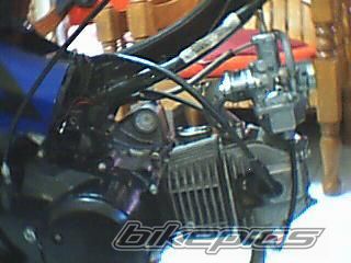 Photo 1454031