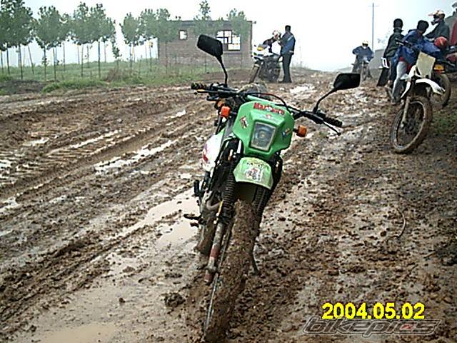Photo 145425