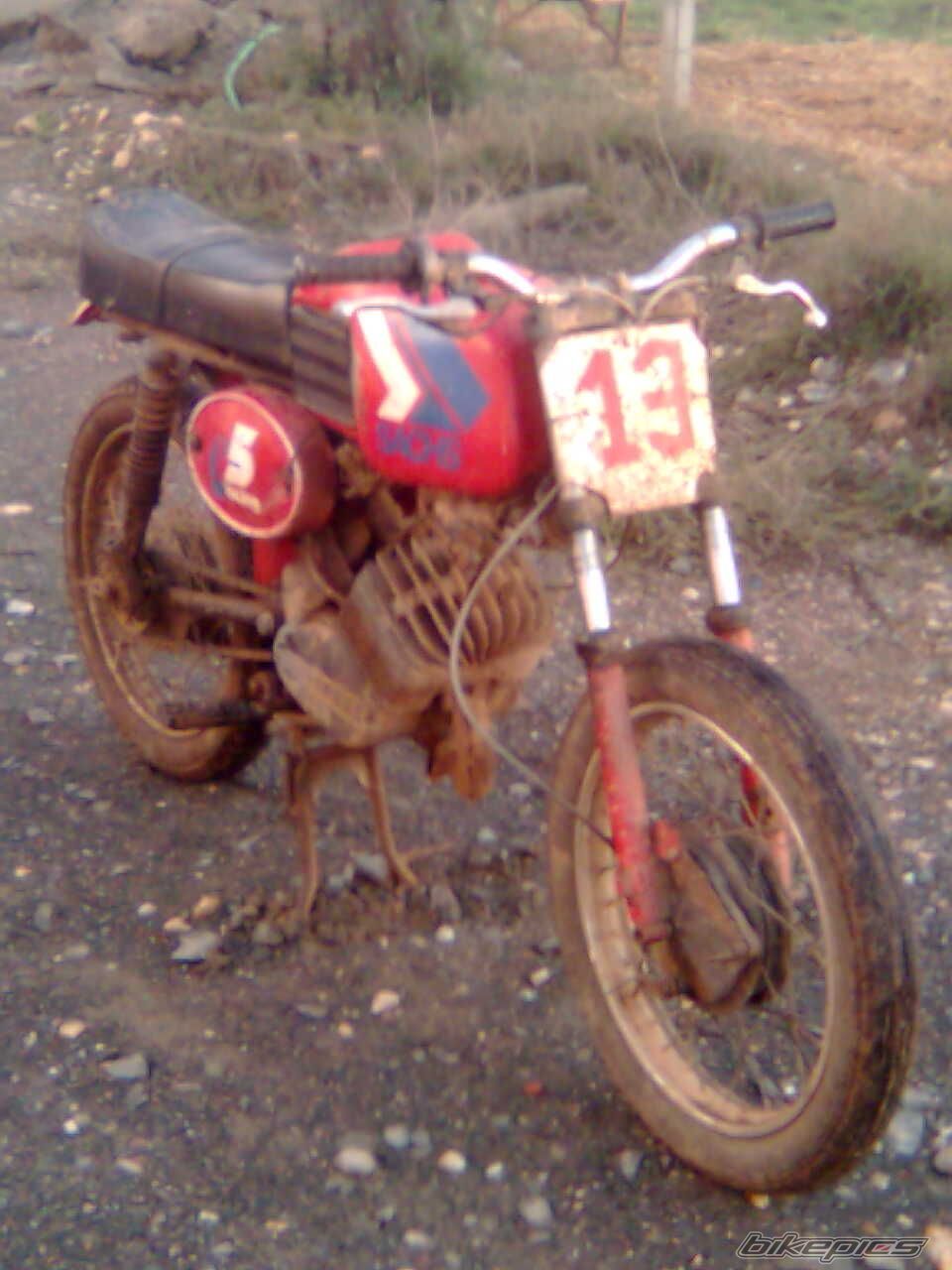 Photo 1454286