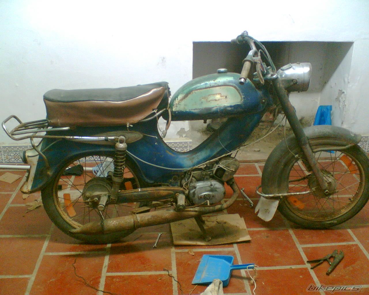 Lebre V3
