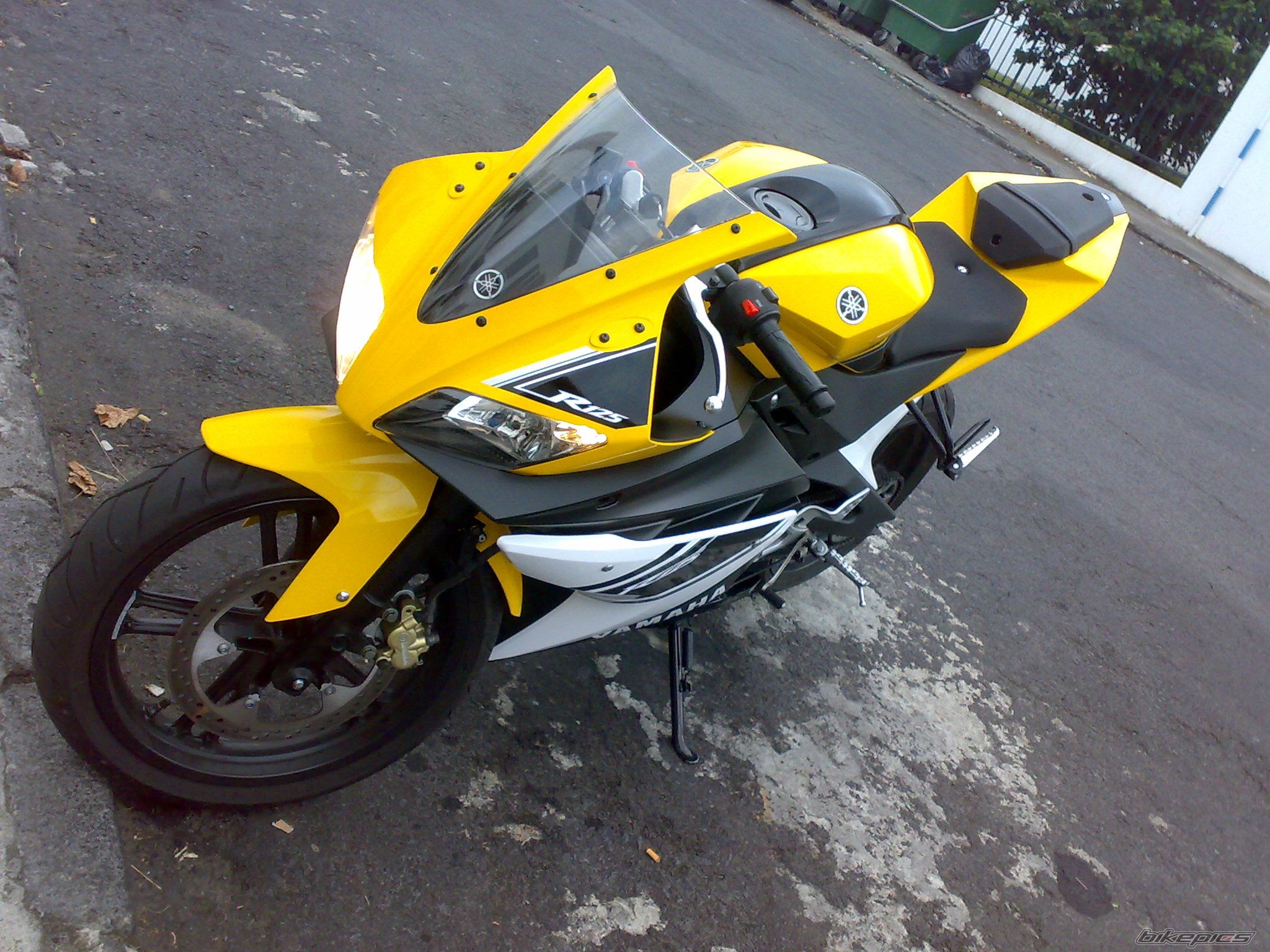 Photo 1454405