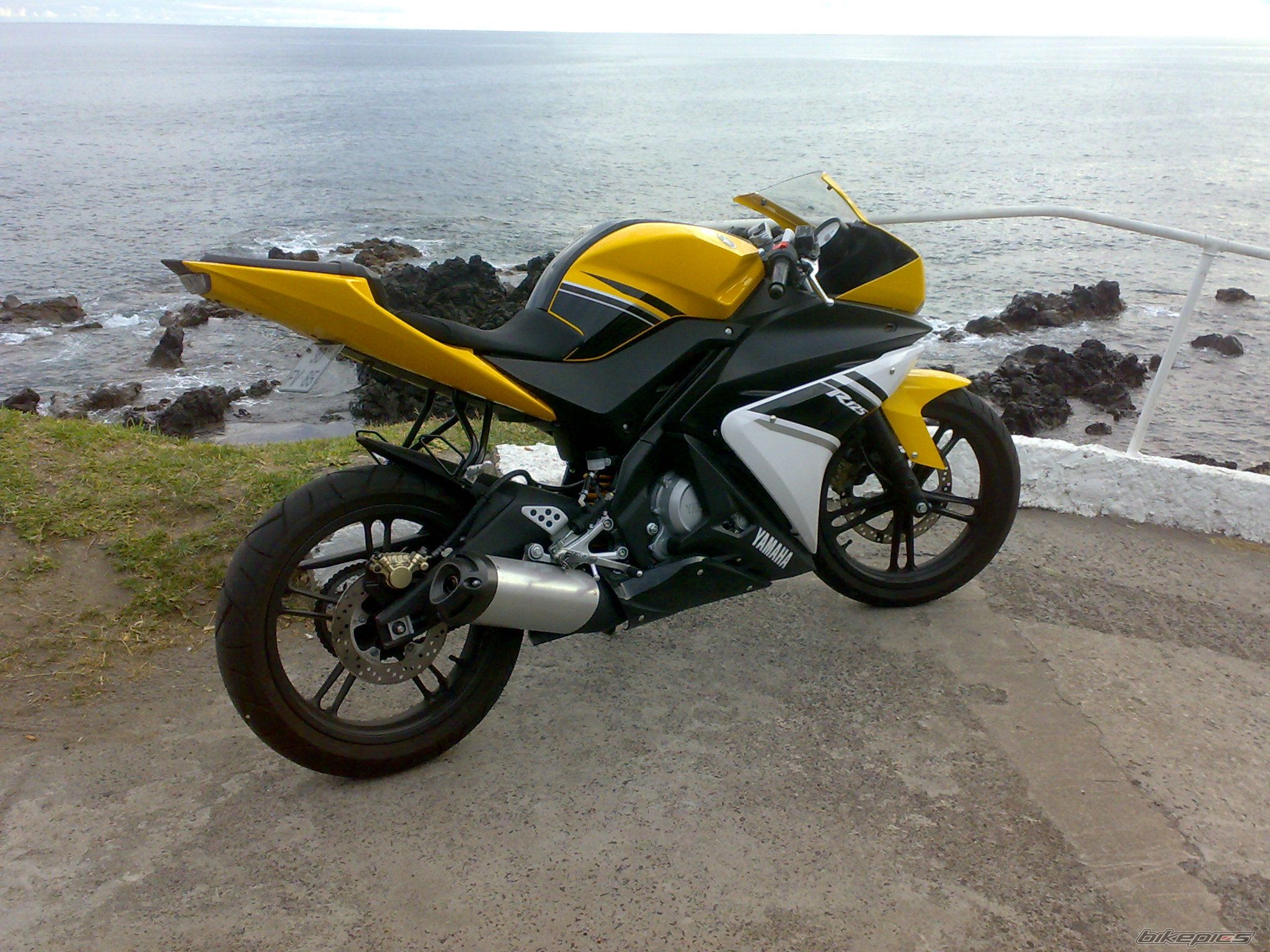 Photo 1454423