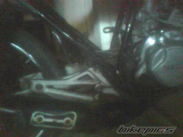 Photo 1454434