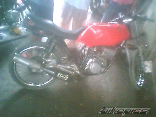 Photo 1454438