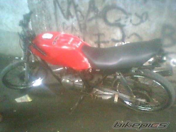 Photo 1454445