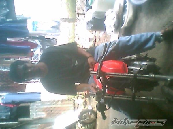 Photo 1454447