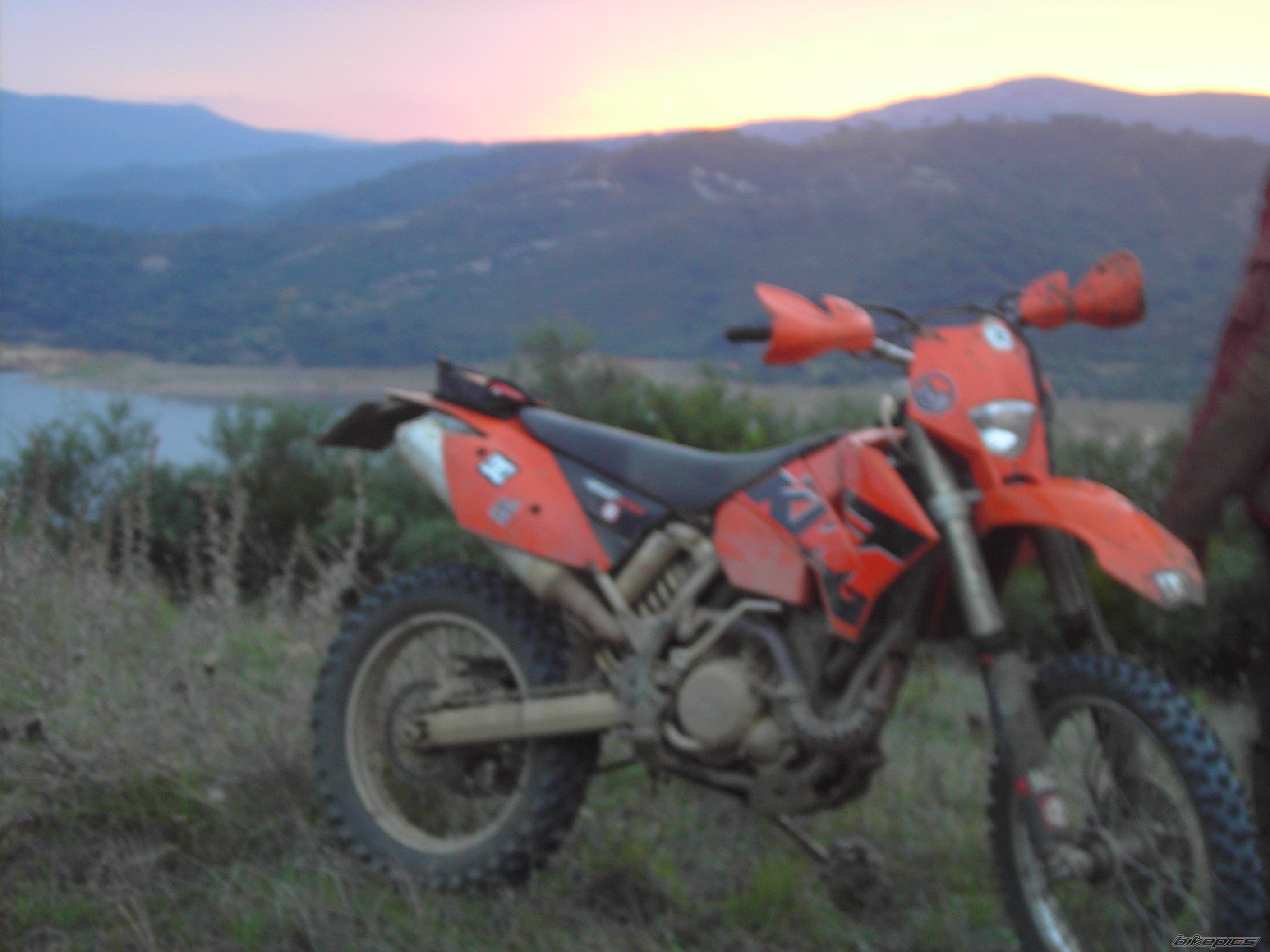 Photo 1454448
