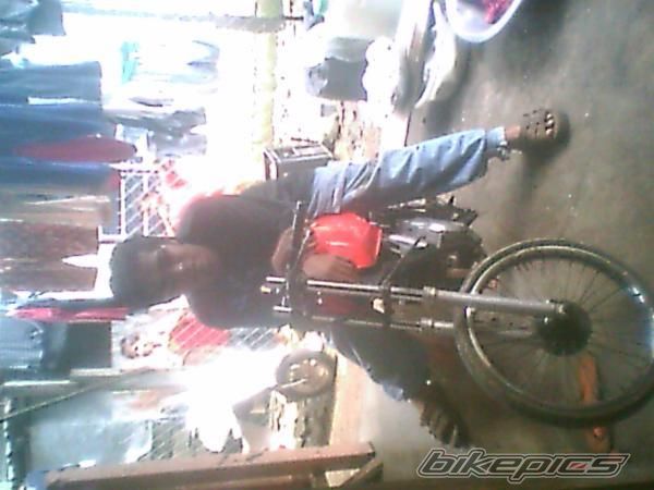 Photo 1454451