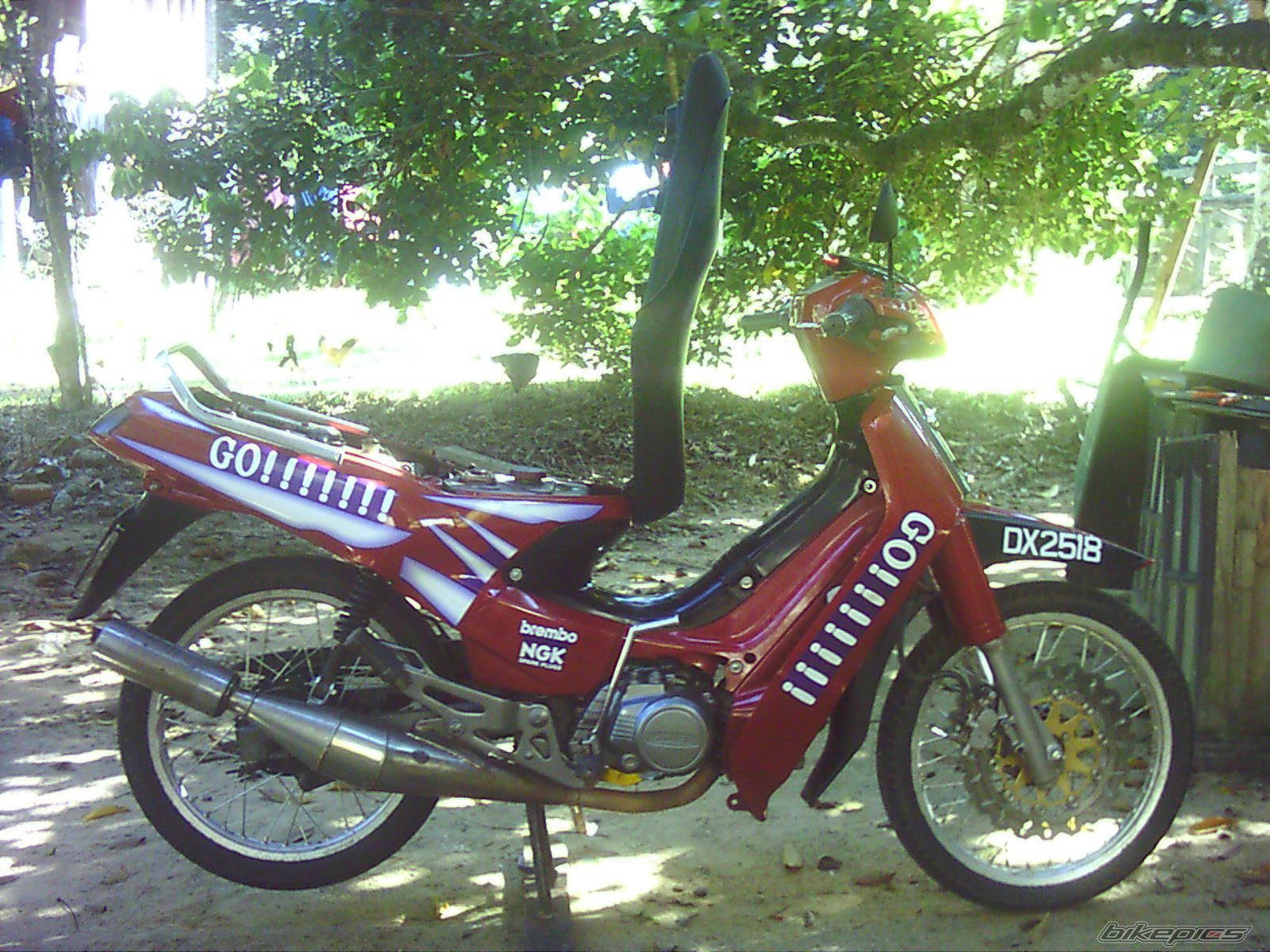 Photo 1454460