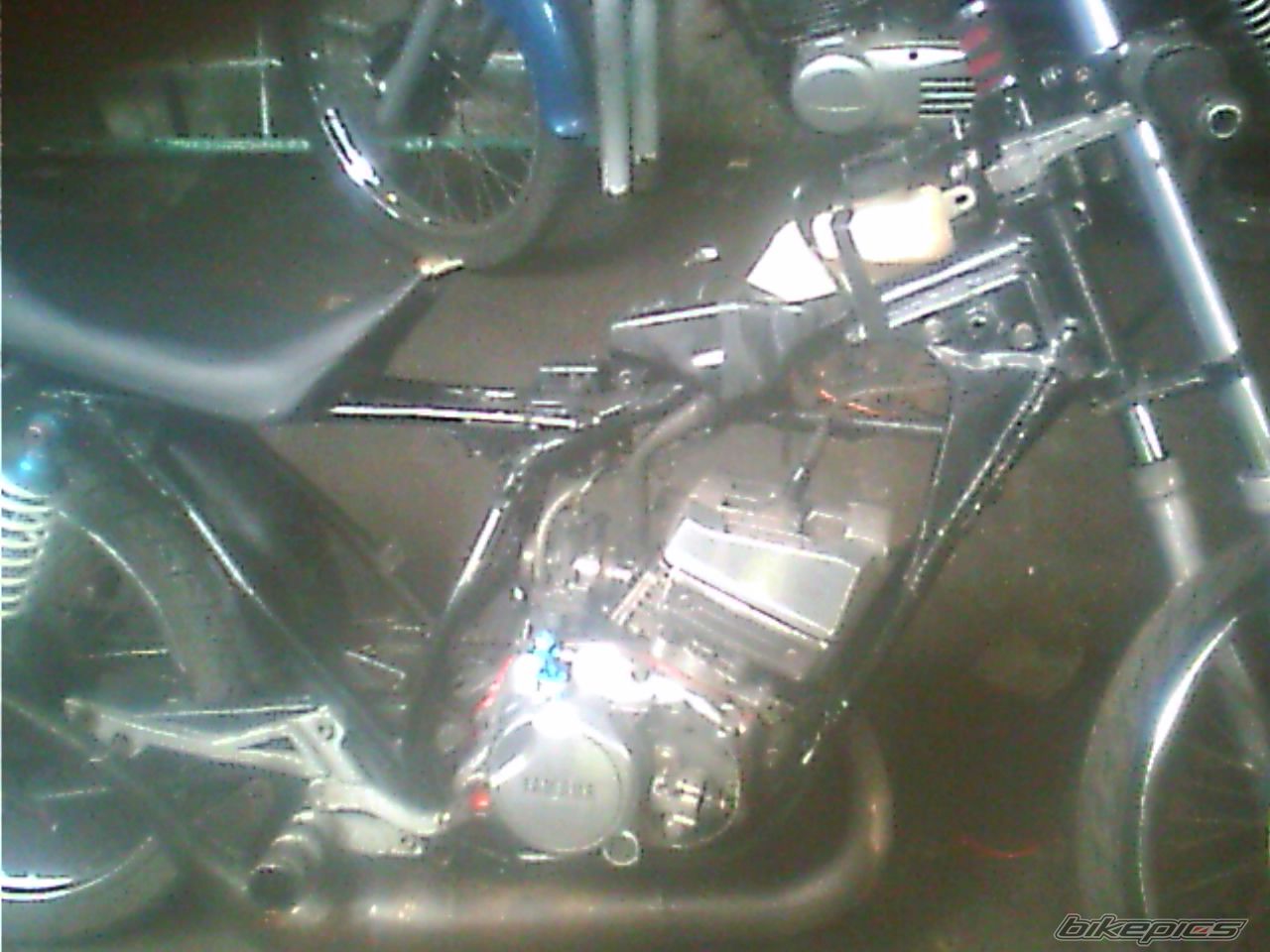 Photo 1454466