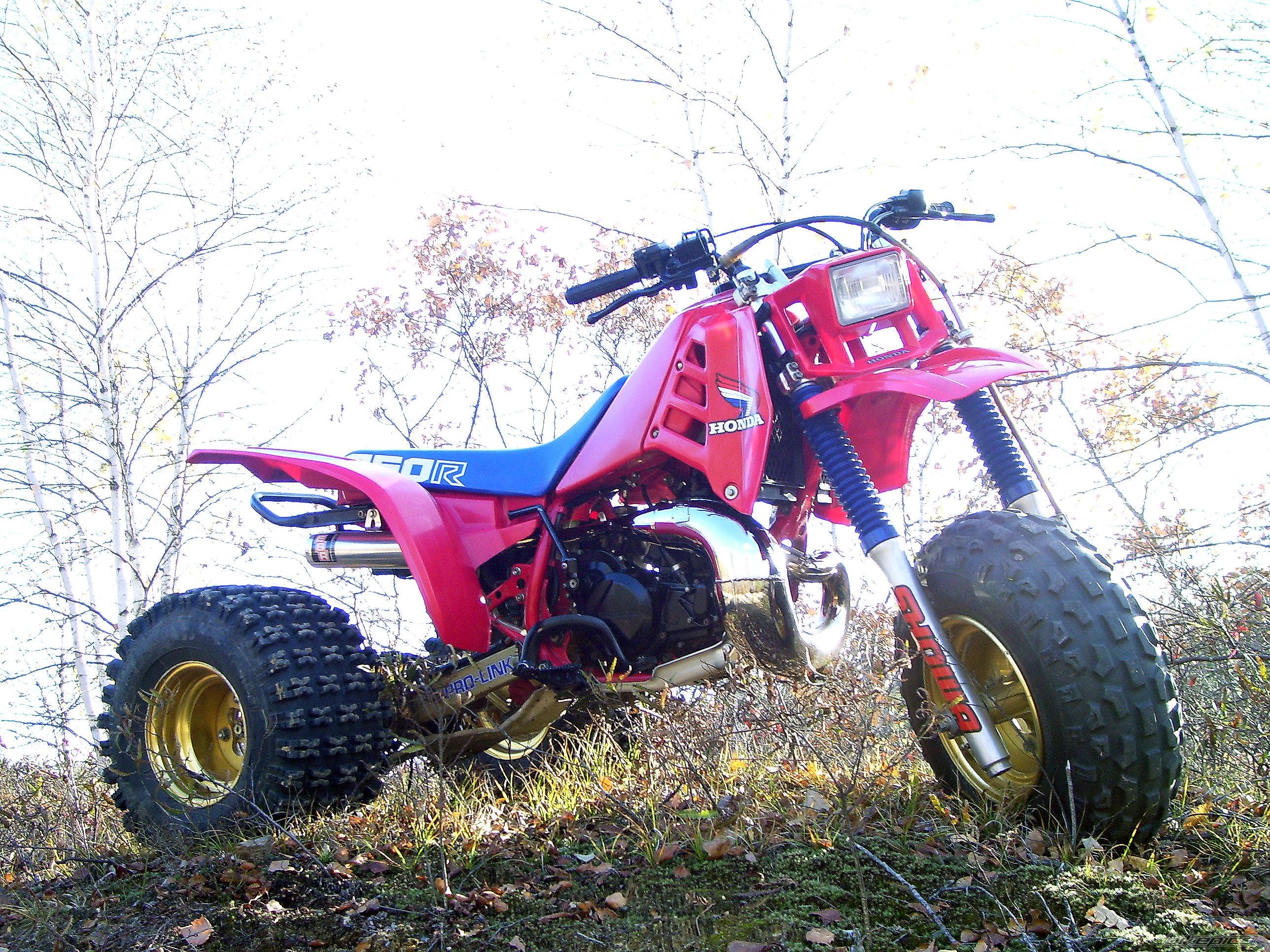 Photo 1454469