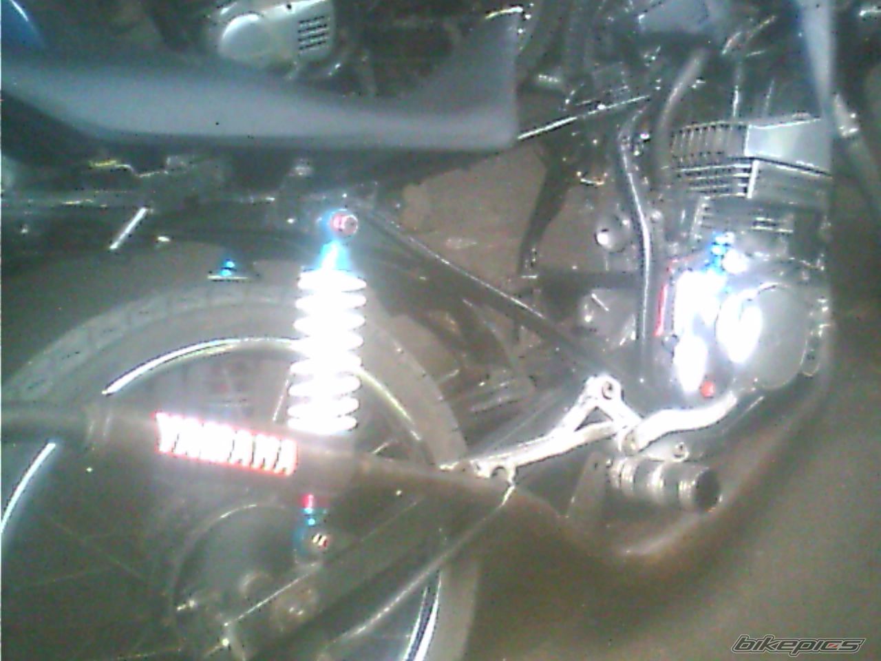 Photo 1454474