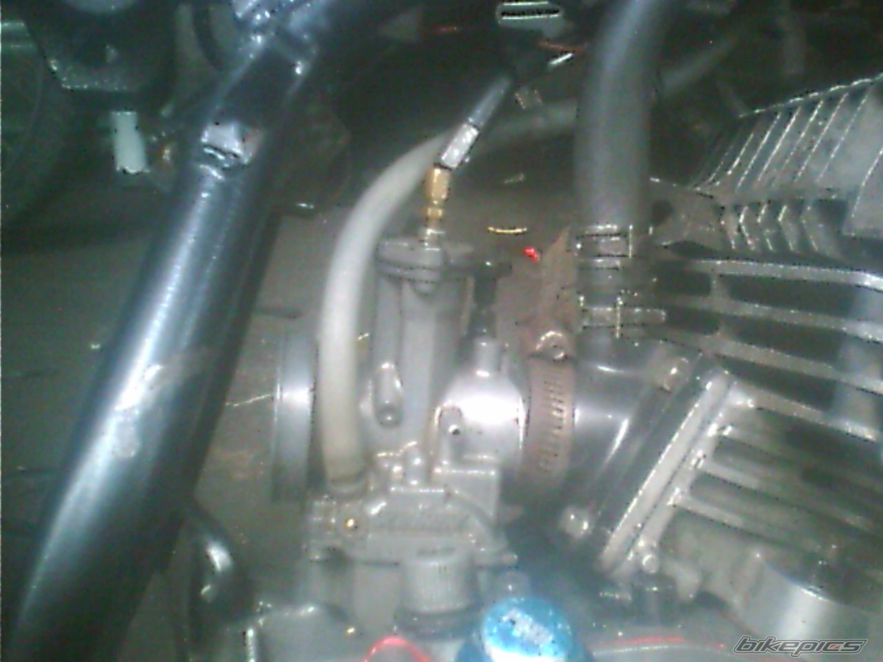 Photo 1454481
