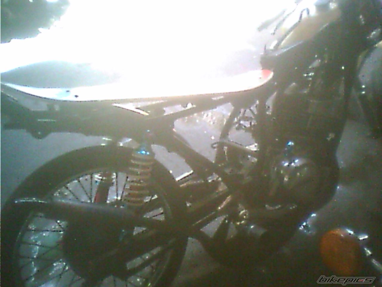 Photo 1454487