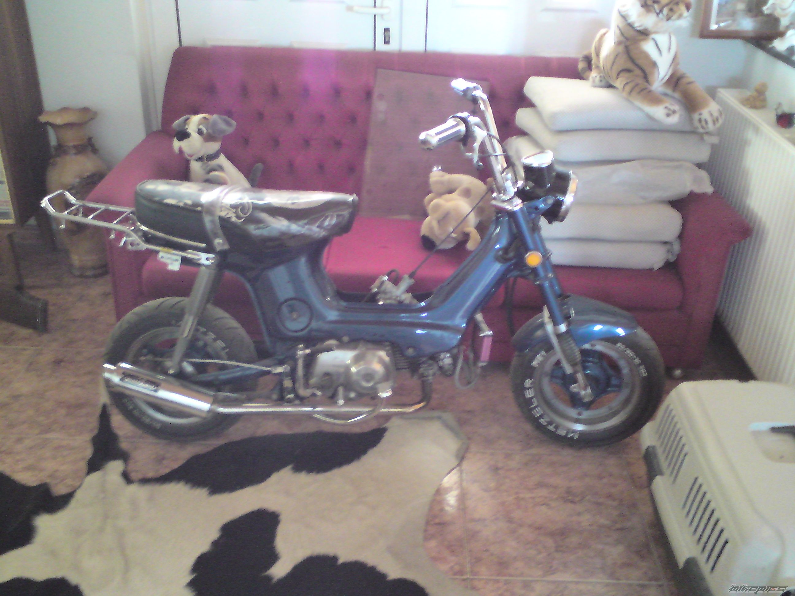 Photo 1454507