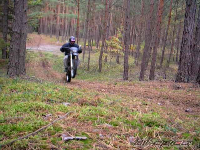 Photo 1454592