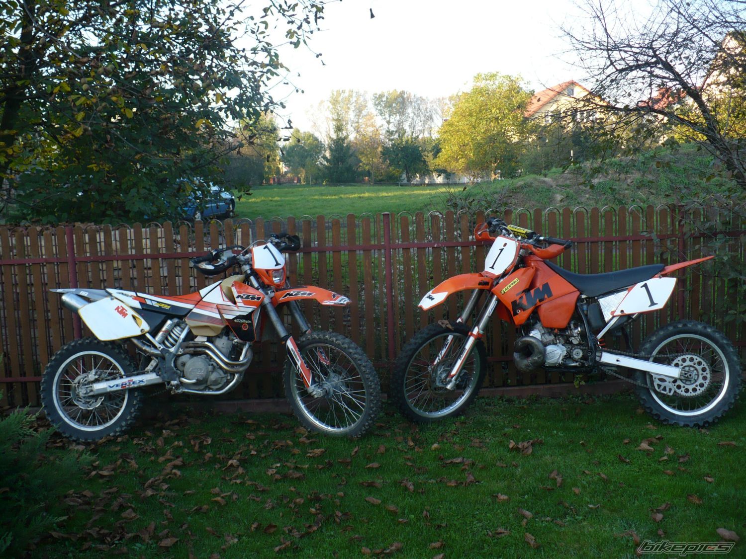 Photo 1454633
