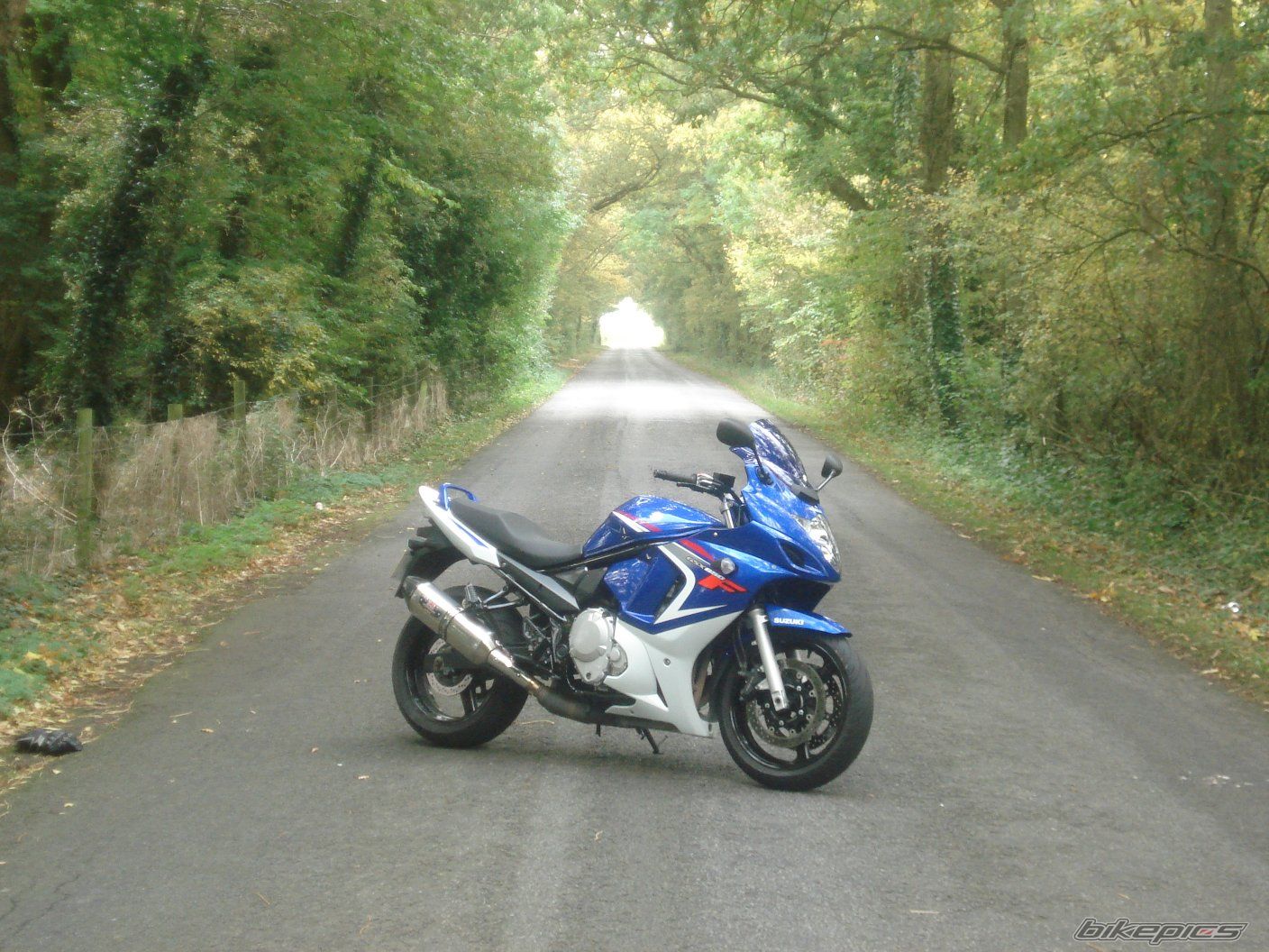 Photo 1454640