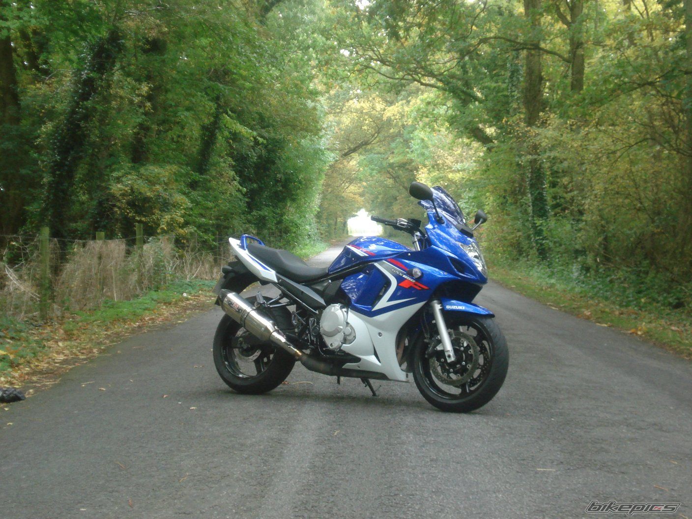 Photo 1454644