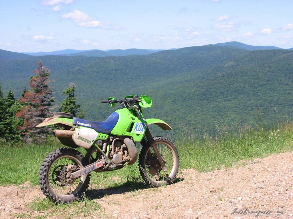 Bike Photo 145466