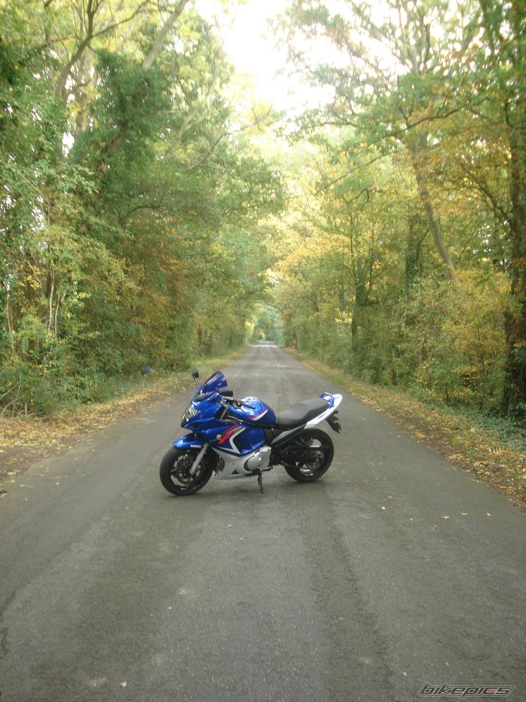 Bike Photo 1454660