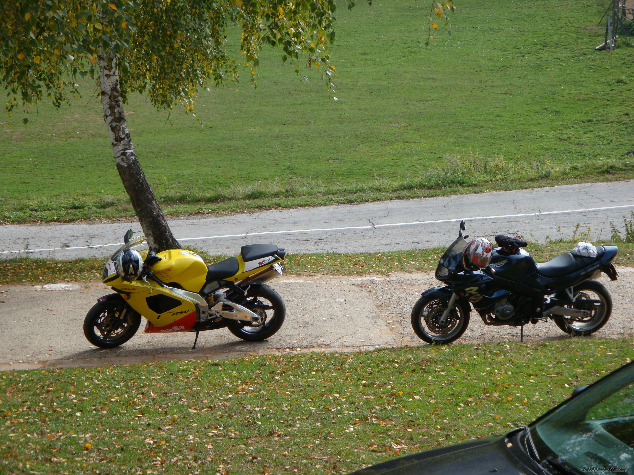 Photo 1454671