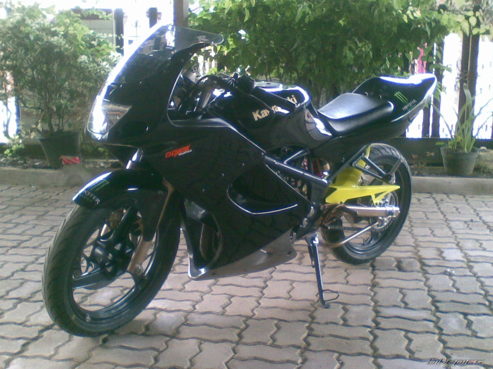 Photo 1454677