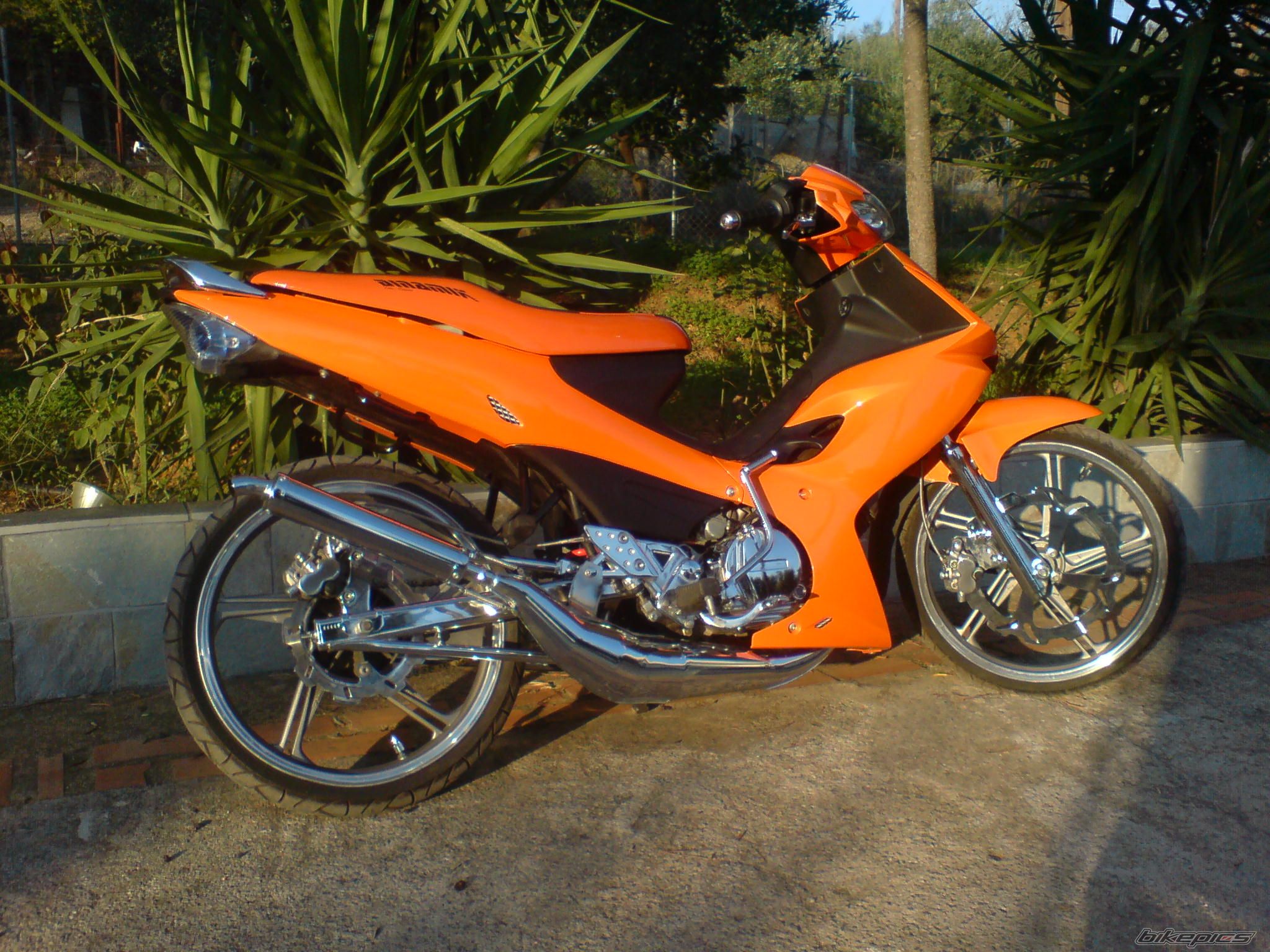 Photo 1454687