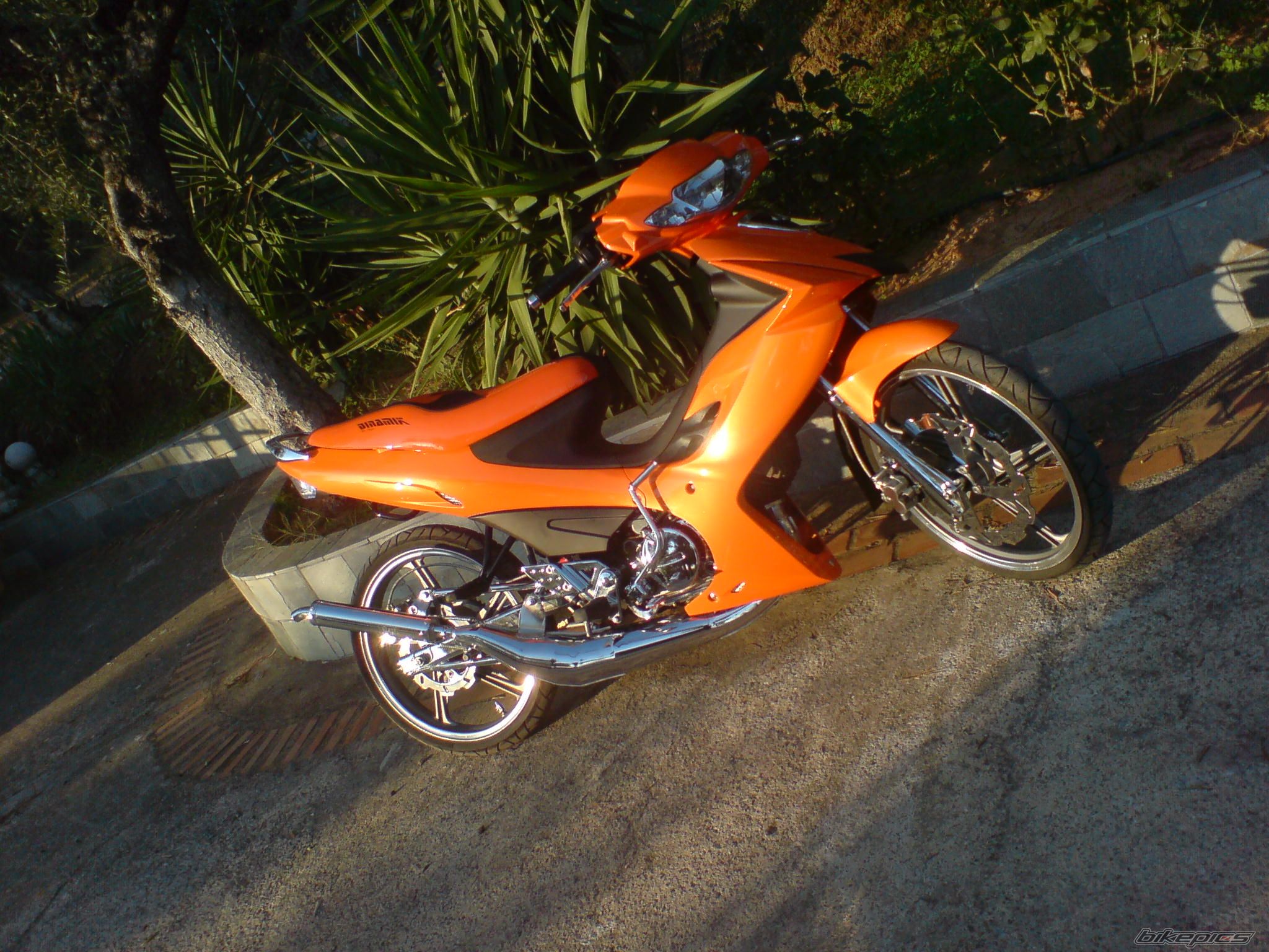 Photo 1454689