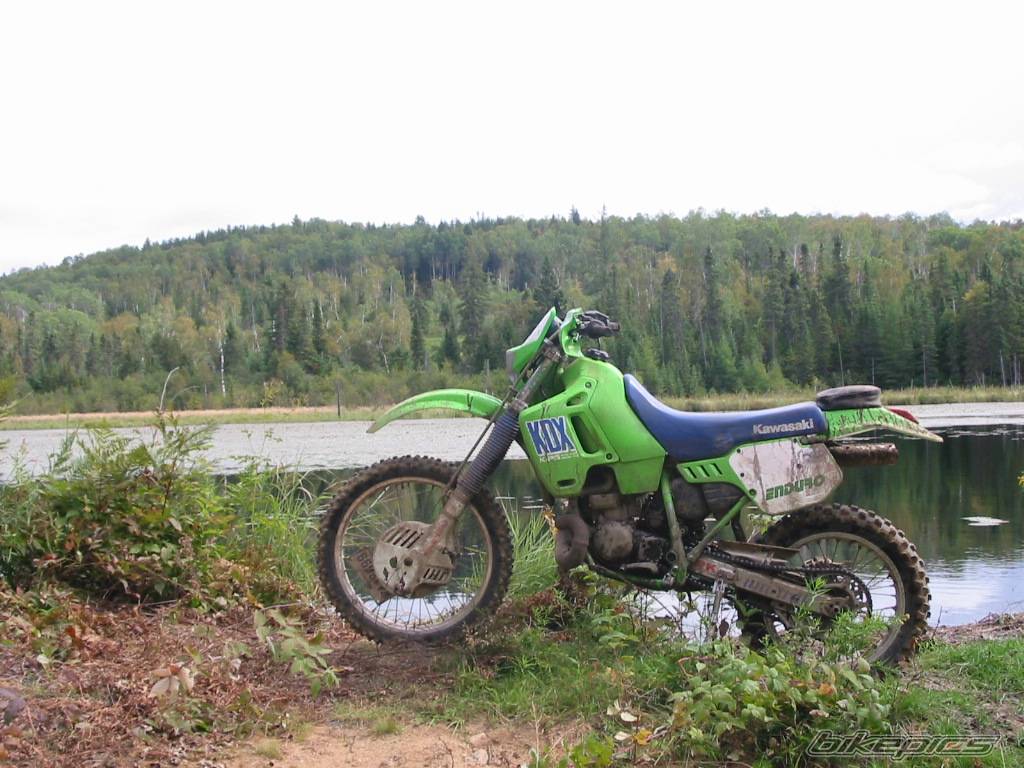 Bike Photo 145470