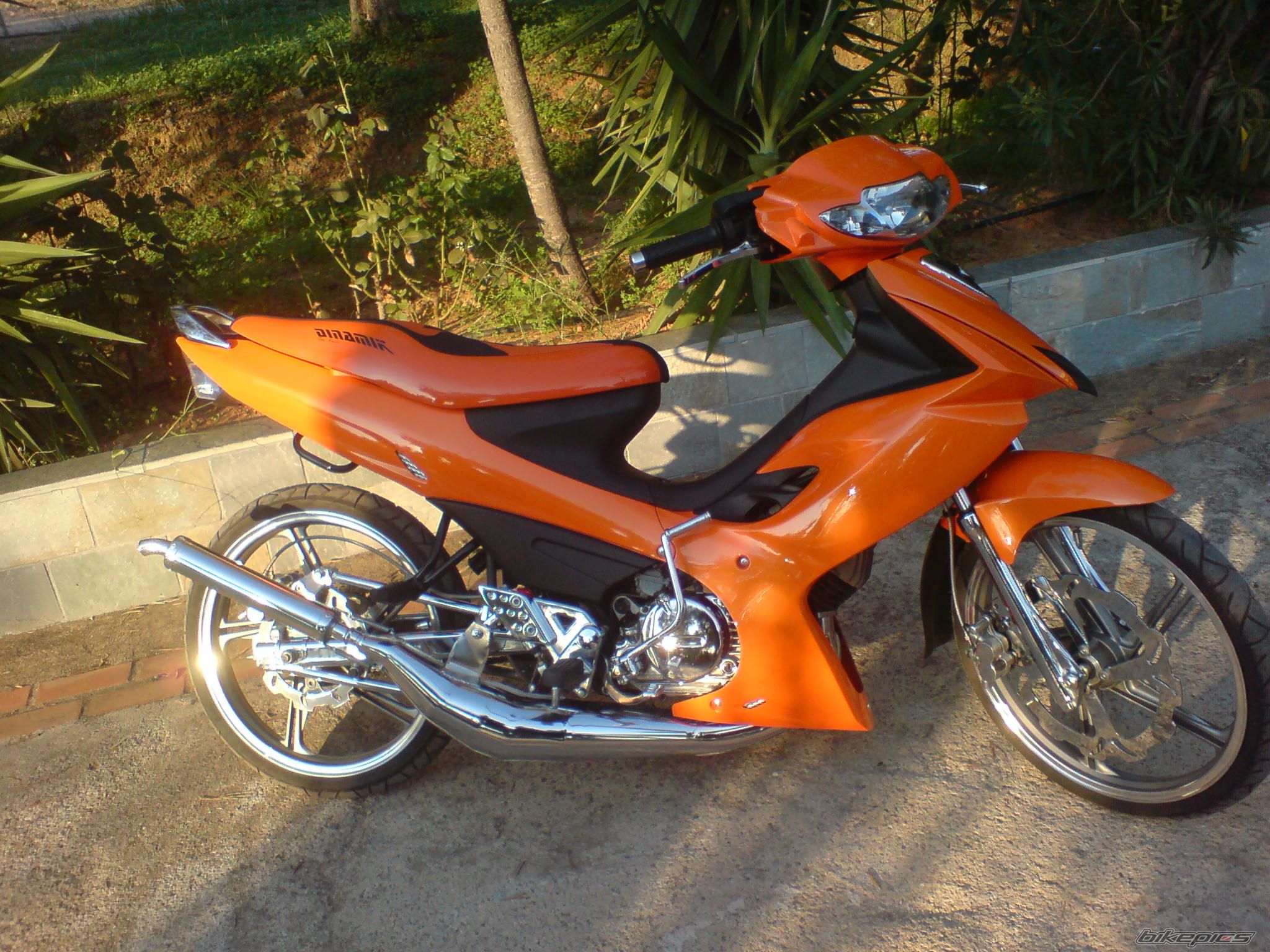 Photo 1454702