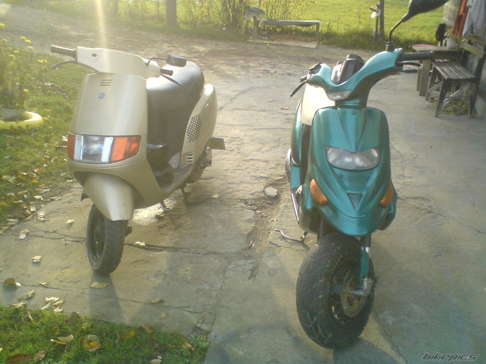 Photo 1454706