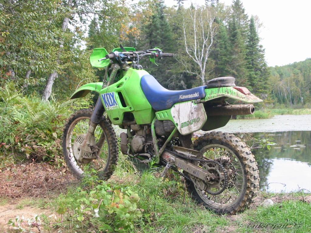 Photo 145473