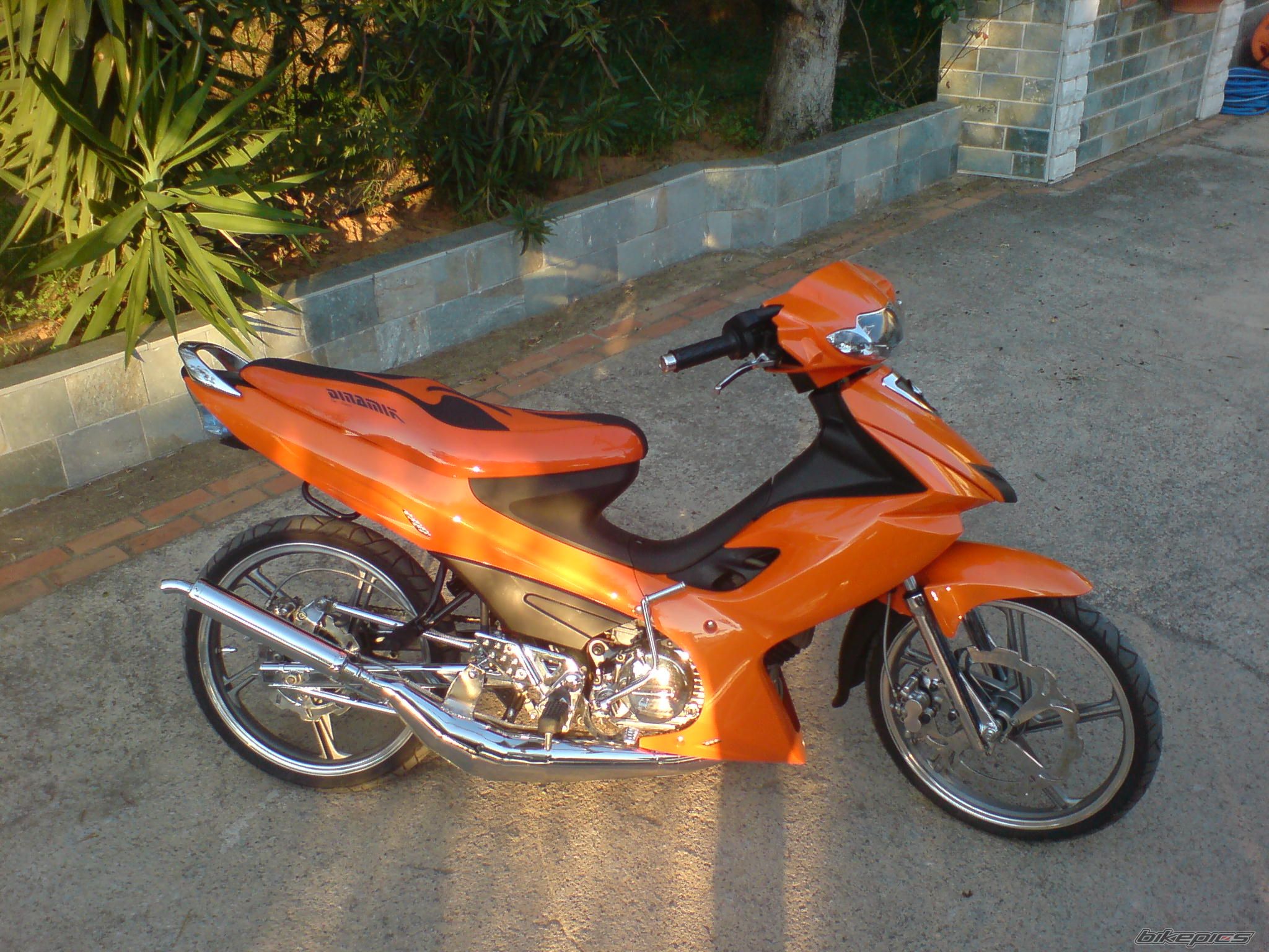 Photo 1454730