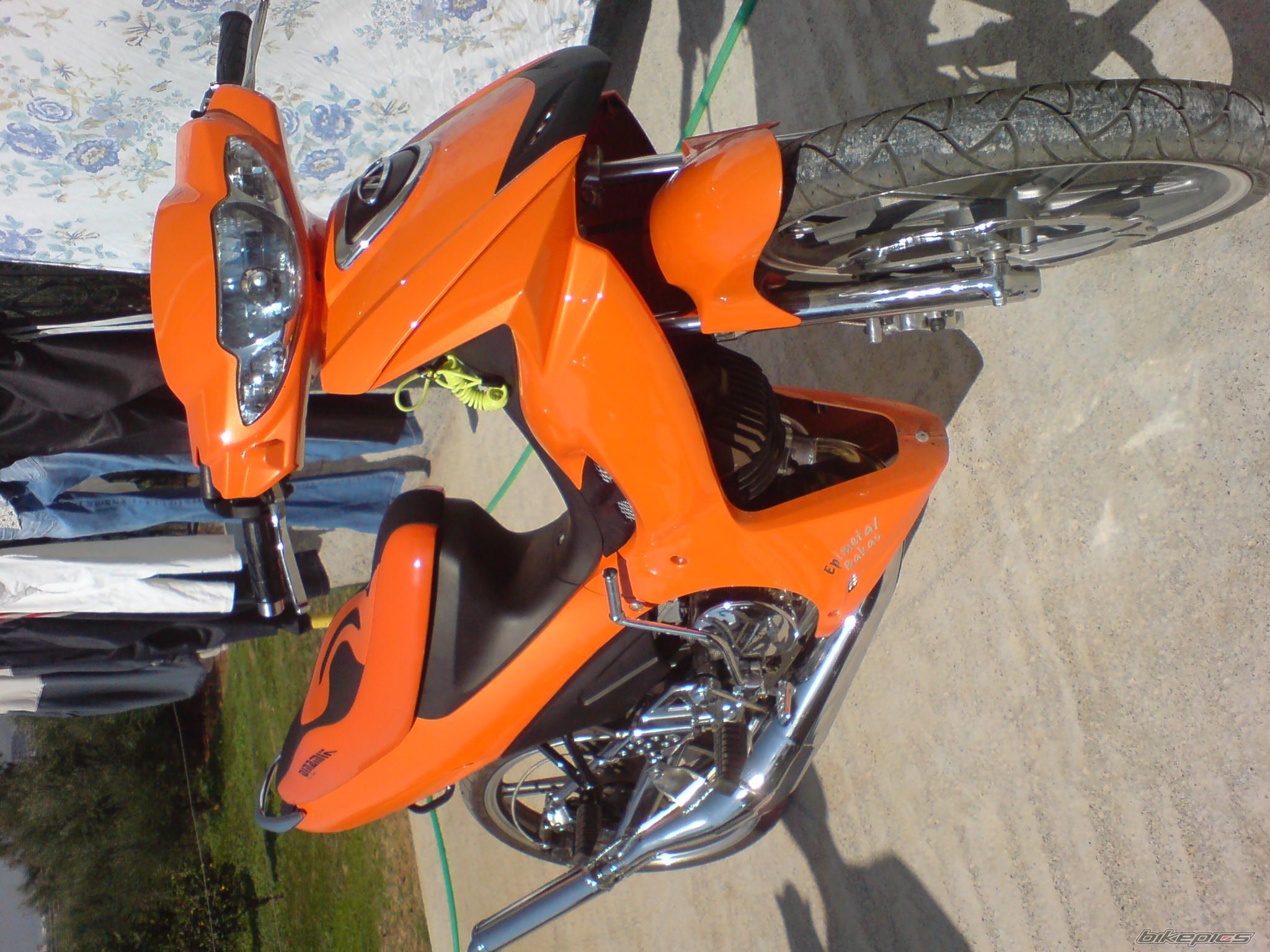Photo 1454756