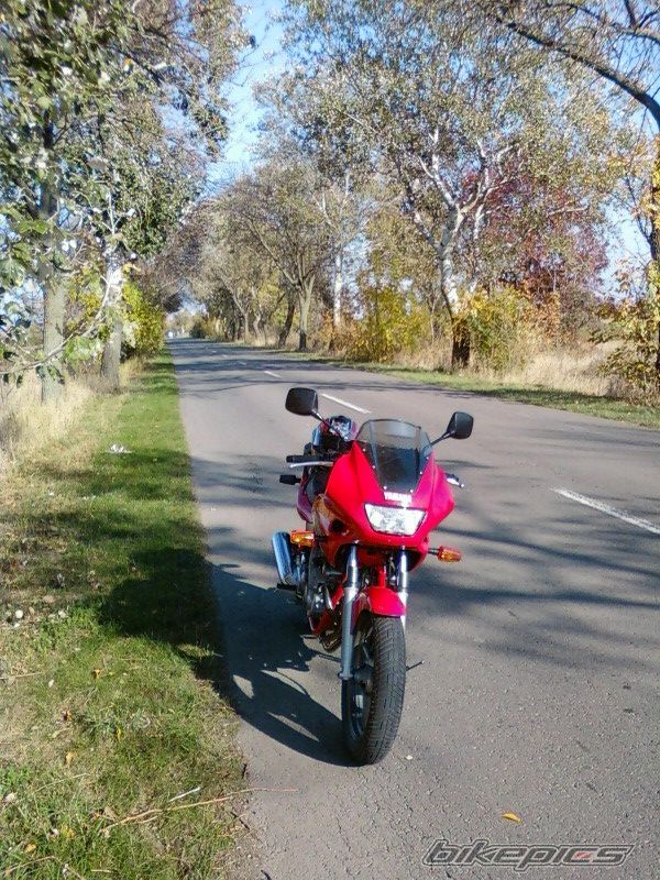 Bike Photo 1454769
