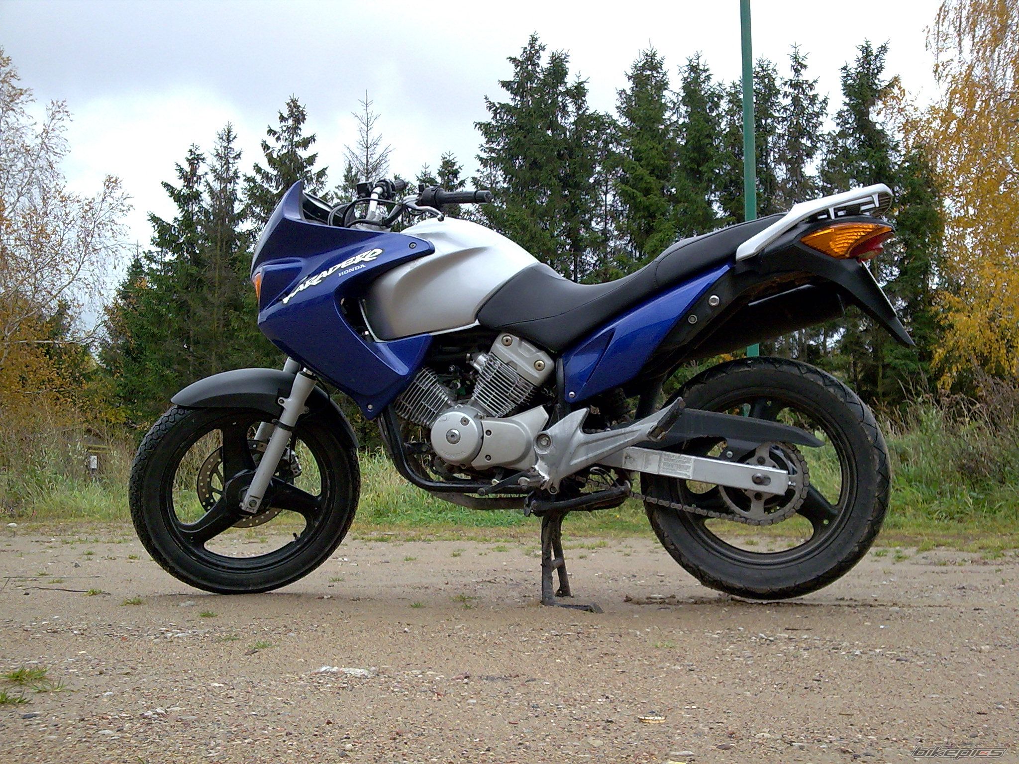 Photo 1454773